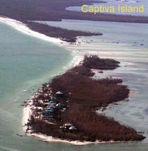 Captiva Island tree service
