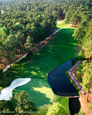 Golf fairway surrounded by trees