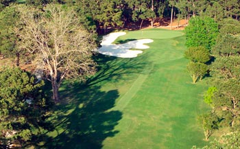 Golf turf and trees compete on every golf course